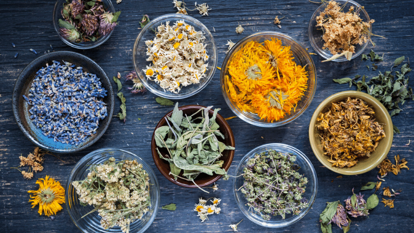 Master Herbalist Online Course | Herbs For Health And Healing